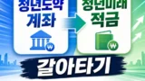 청년도약계좌에서 청년미래적금으로 갈아타기
