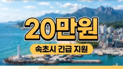 속초시 민생지원금