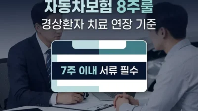 자동차보험 경상환자 8주룰 치료 연장 기준 안내