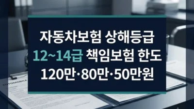 자동차보험 상해등급 12급 13급 14급 한도금액 비교