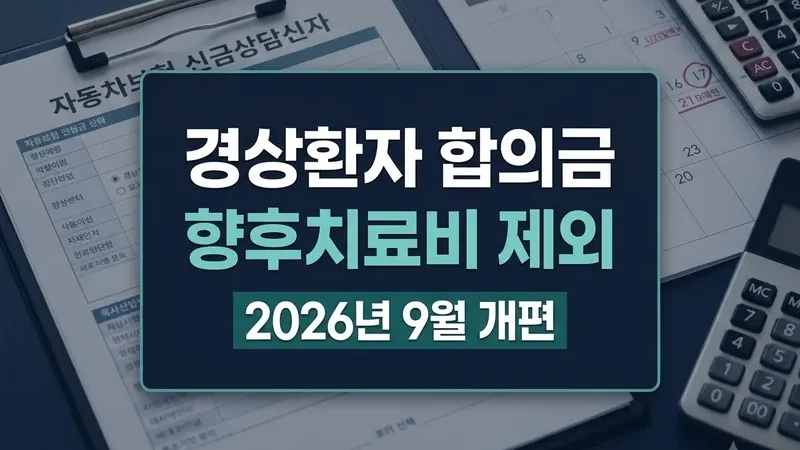 자동차보험 경상환자 합의금 향후치료비 제외 기준