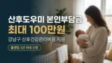 강남구 산후도우미 본인부담금 지원 최대 100만원