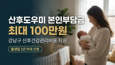 강남구 산후도우미 본인부담금 지원 최대 100만원
